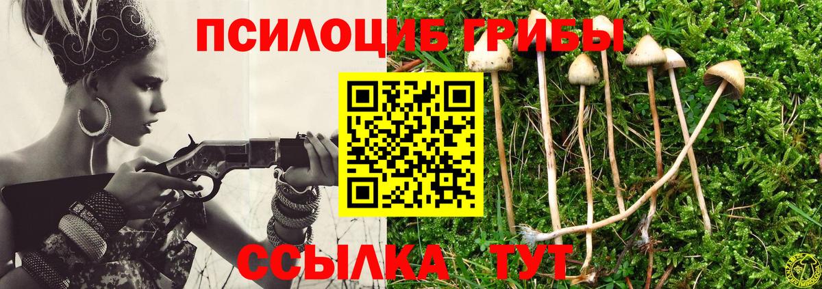 Псилоцибиновые грибы мухоморы Выкса