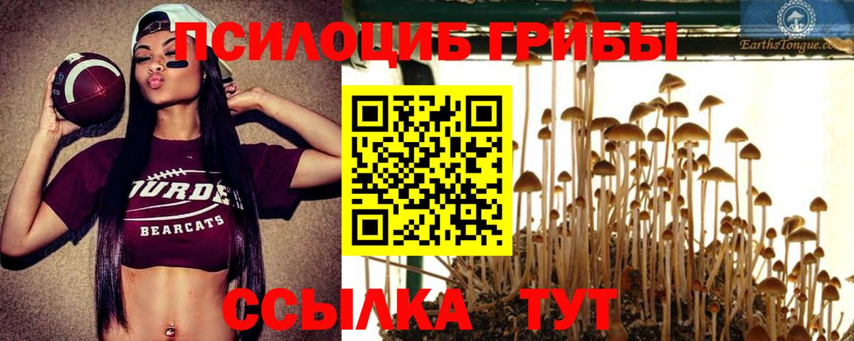 Псилоцибиновые грибы GOLDEN TEACHER  Вход с VPN  что такое наркотик  Галлюциногенные грибы GOLDEN TEACHER  Выкса 