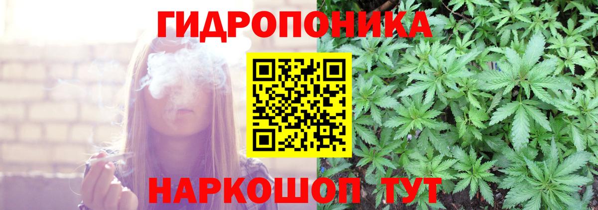 Каннабис семена  Бошки марихуана SATIVA & INDICA  Конопля AK-47  Вход с VPN  Шишки марихуана гибрид  Выкса 